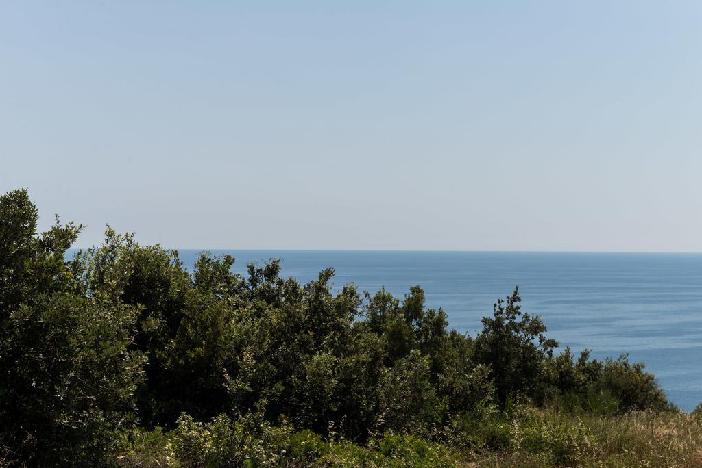 Apartment Semes Cavtat Dış mekan fotoğraf